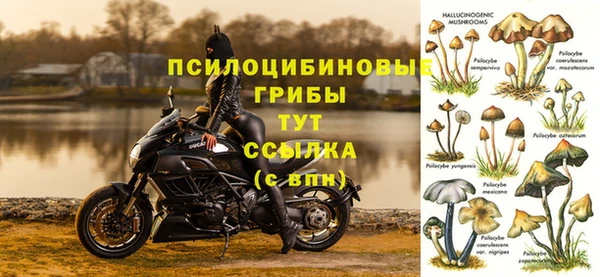 меф Каменногорск