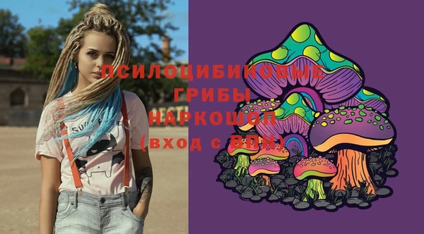 ешки Каменка