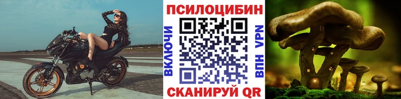 Галлюциногенные грибы ЛСД  Купить закладки  Краснозаводск 