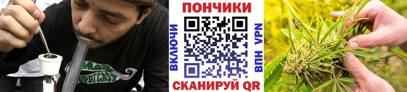 Купить закладки  Краснозаводск  Конопля план 